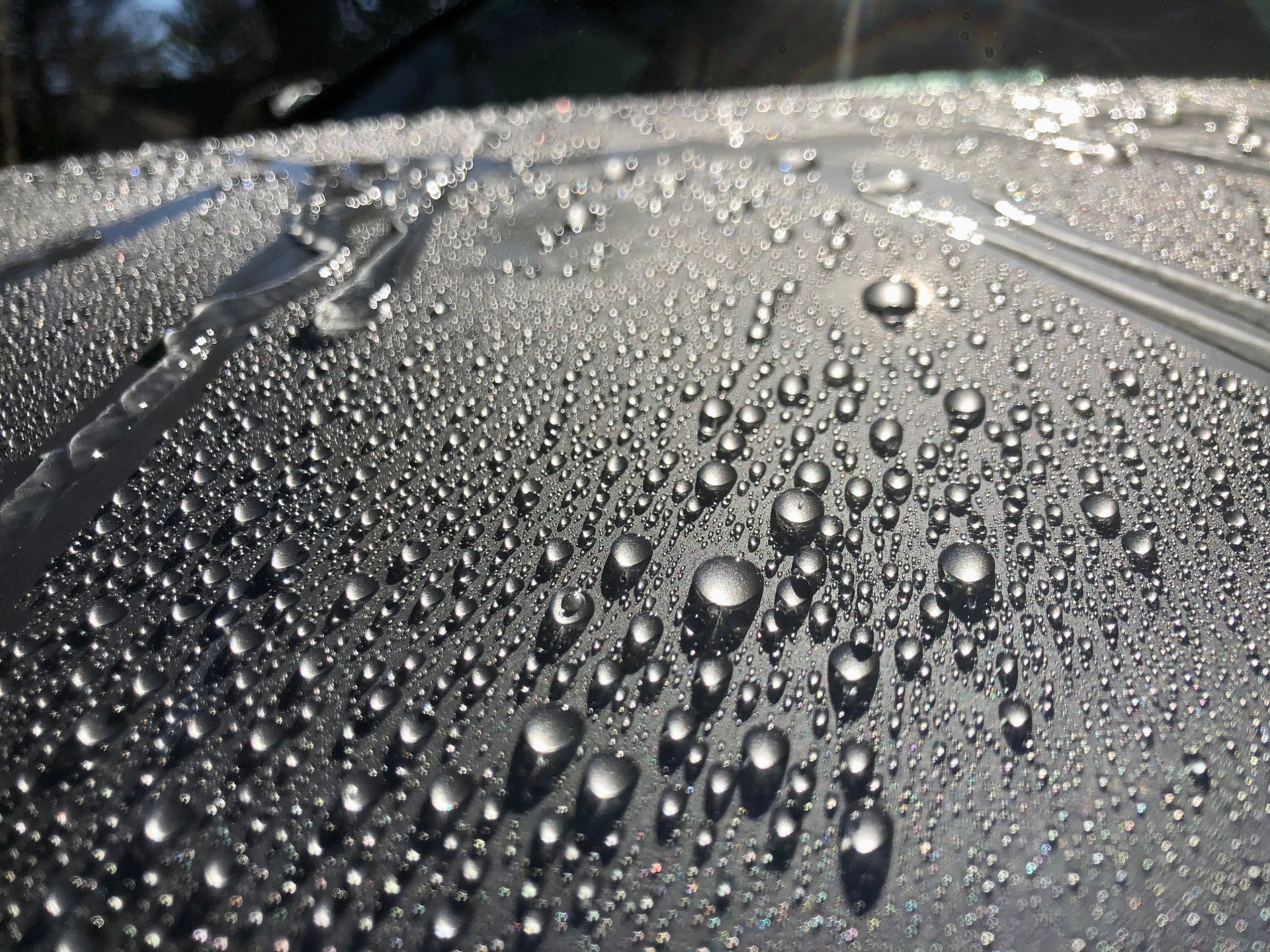 Close-up of a sports car hood covered with rain droplets